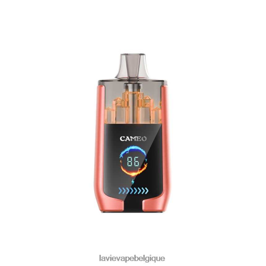 46406824 Lavie Vape Avis | pastèque fraise LAVIE CAMEO 30000 bouffées